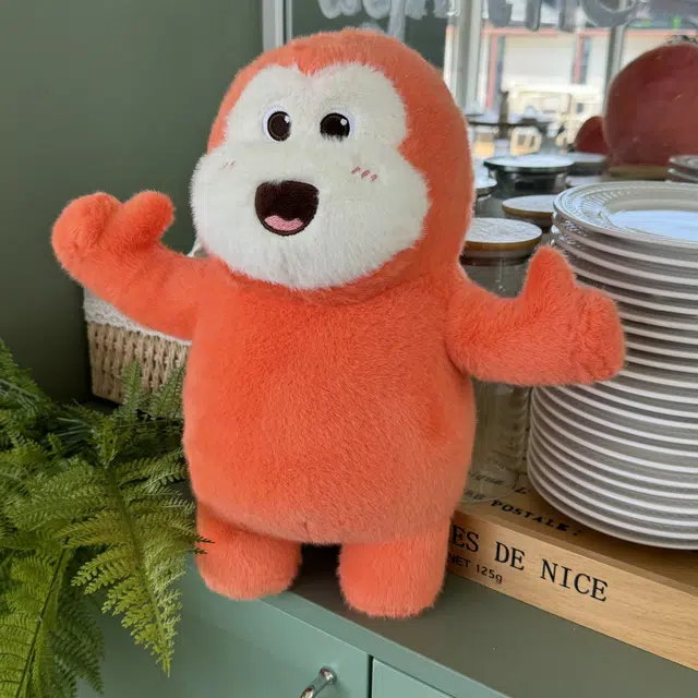 lionf 12cm35cm