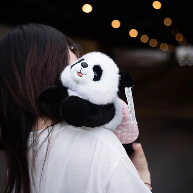 lionf 26cm30cm