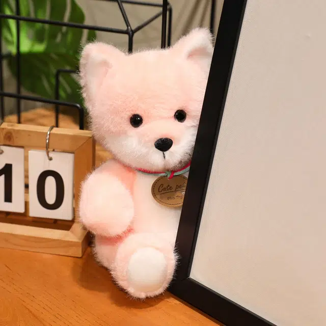 lionf 25cm
