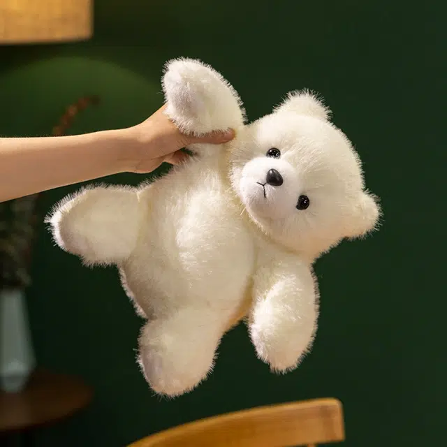 lionf 25cm