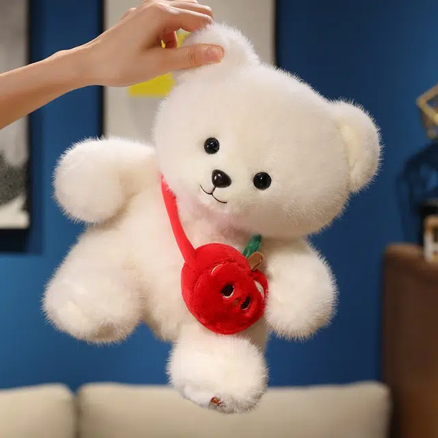25cm35cm