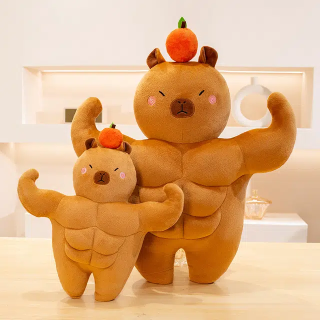lionf 36cm58cm