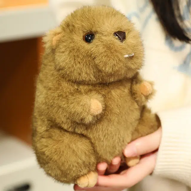 lionf 18cm25cm35cm45cm