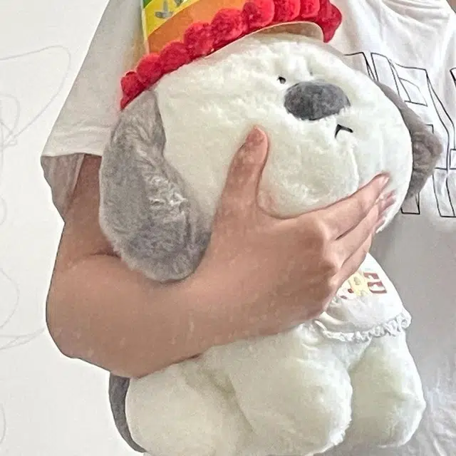 lionf 35cm