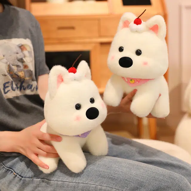 lionf 25cm