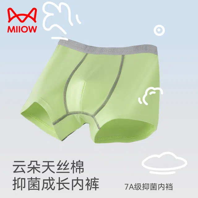 MIIOW 4