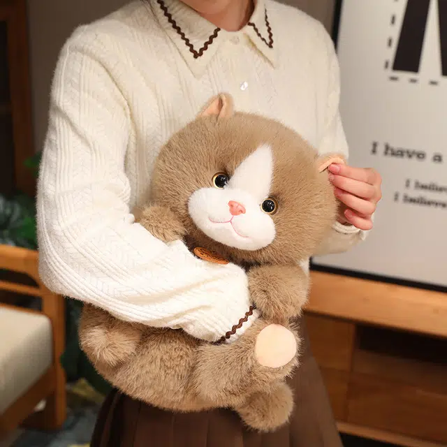 25cm35cm