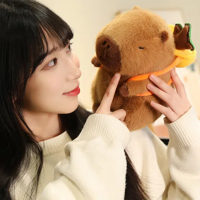 23cm33cm
