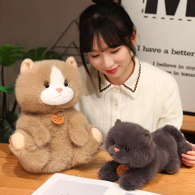 25cm35cm