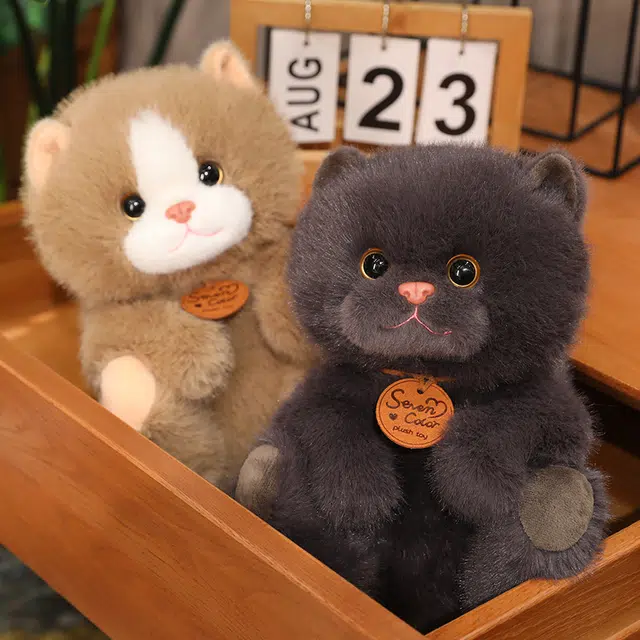25cm35cm