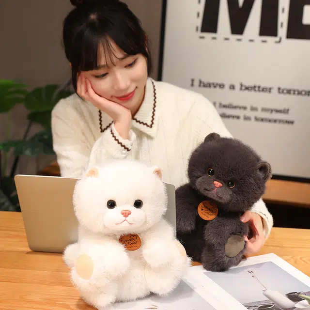 25cm35cm
