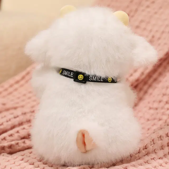 20cm