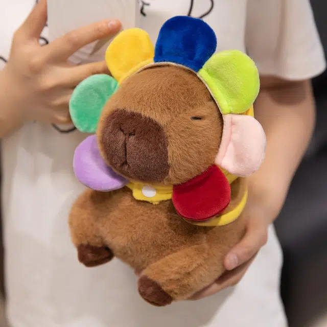 22cm