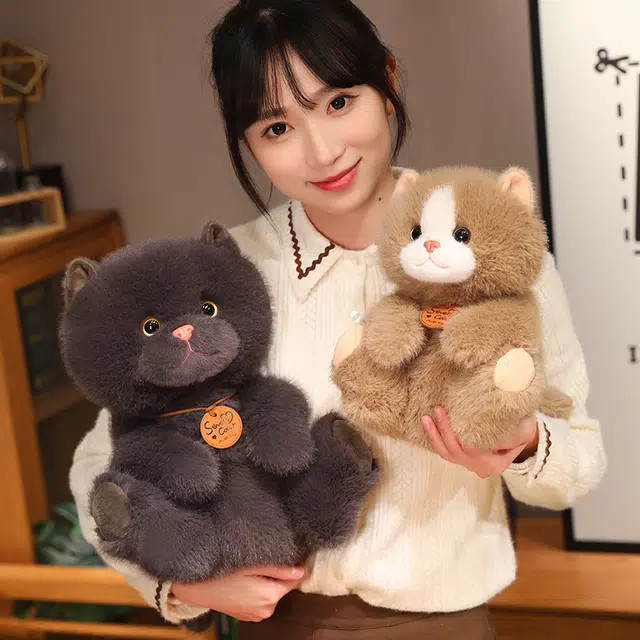 25cm35cm