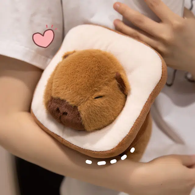 22cm