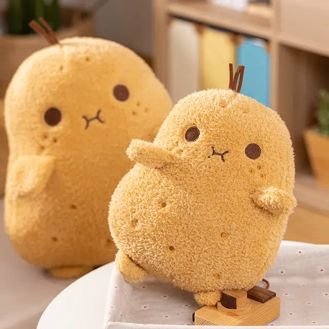 25cm35cm55cm