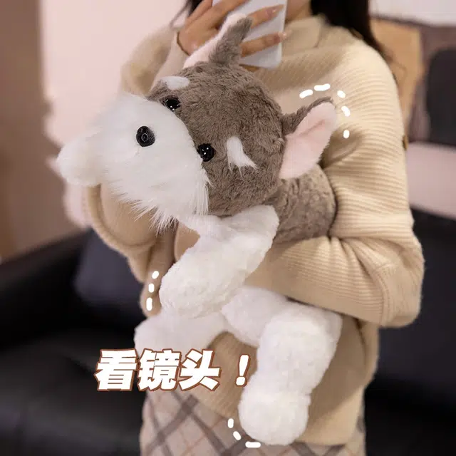 ins 45cm65cm90cm