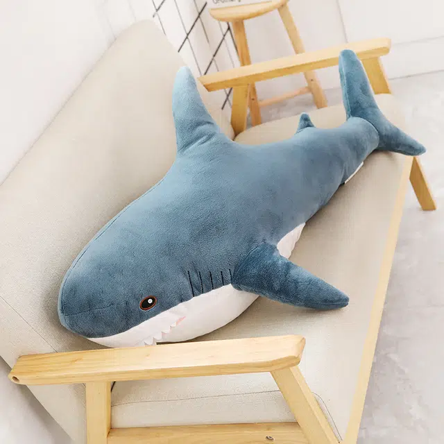 60cm100cm