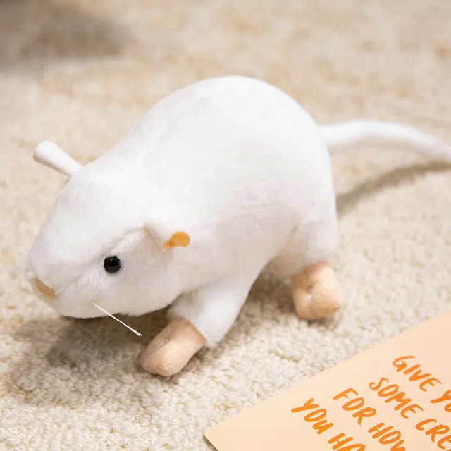17cm