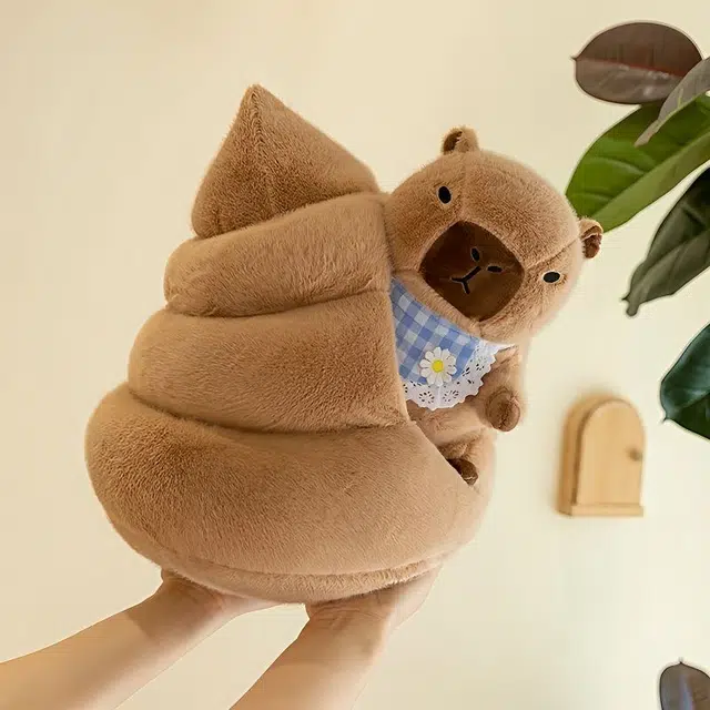 30cm40cm