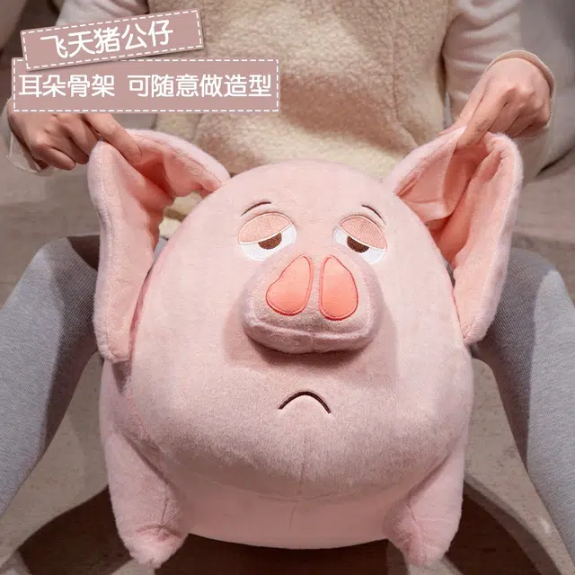 25cm60cm