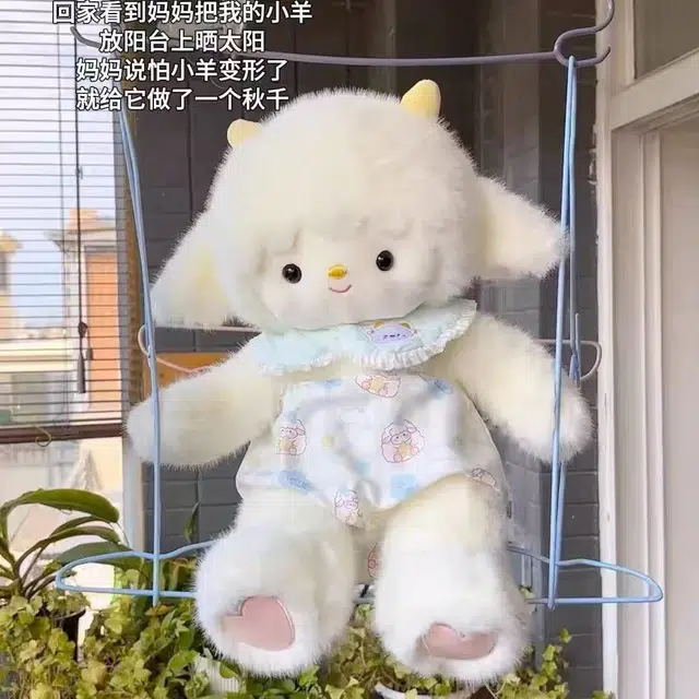 25cm35cm45cm55cm