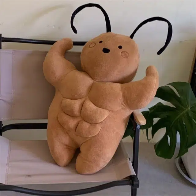 35cm55cm
