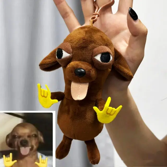 15cm