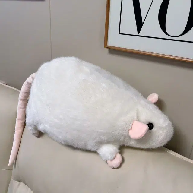 35cm50cm