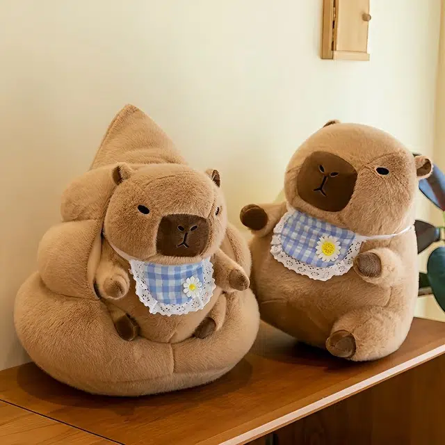 30cm40cm