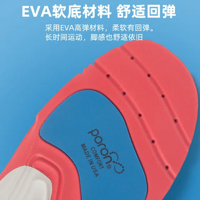 Kawasaki EVA