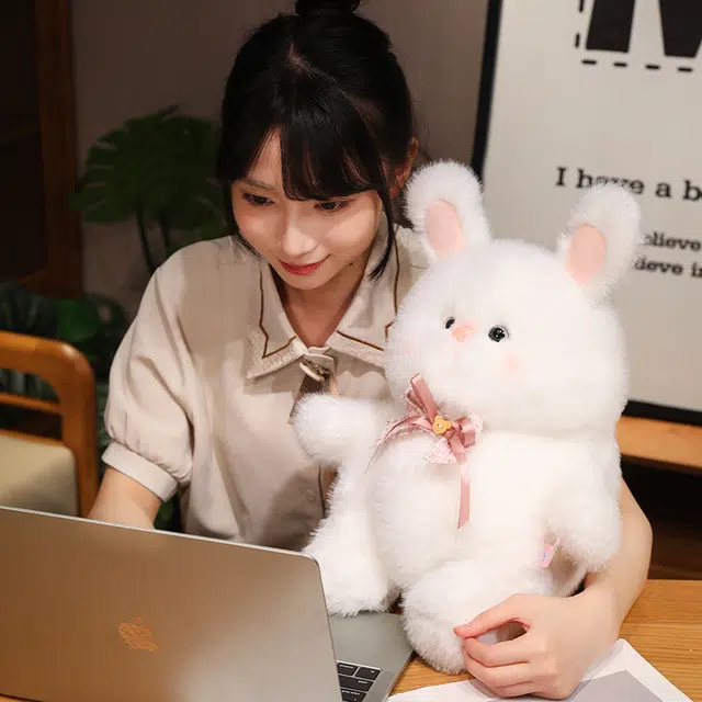 25cm40cm50cm