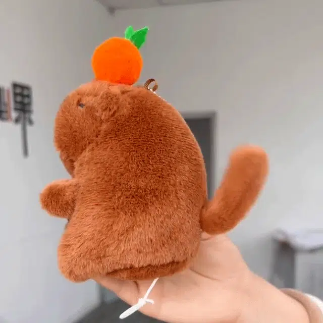 12cm
