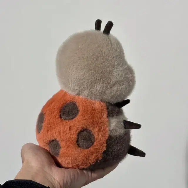 18cm