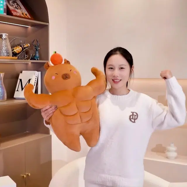 36cm58cm