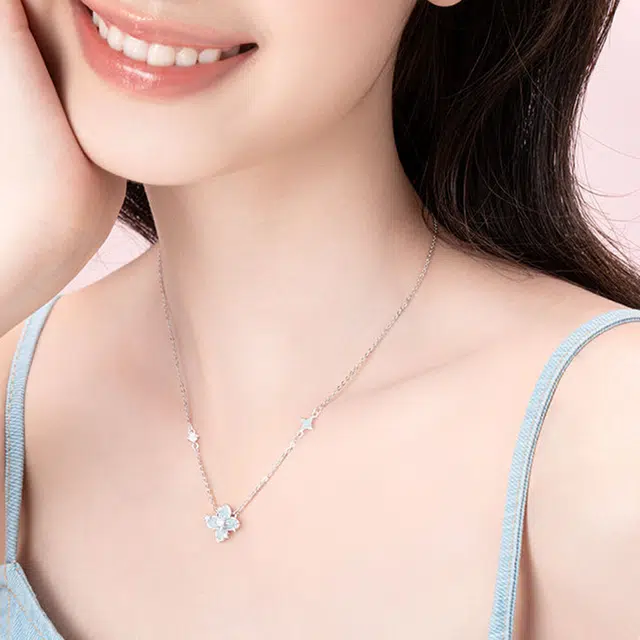 ins S925