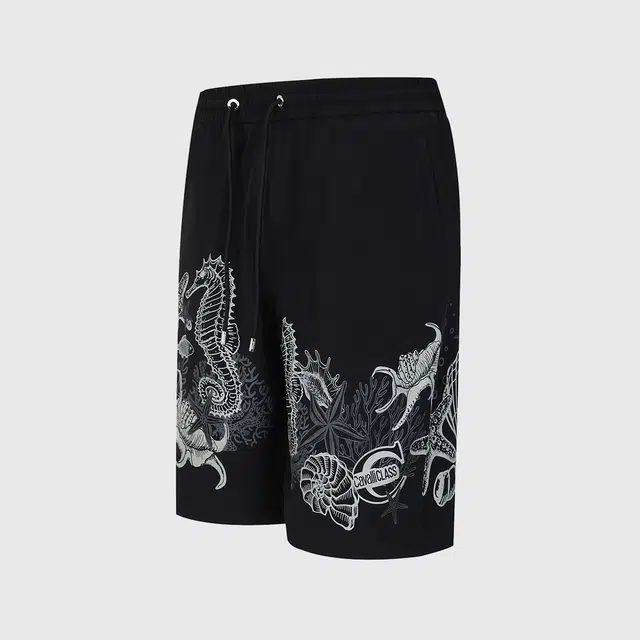 Cavalli Class
