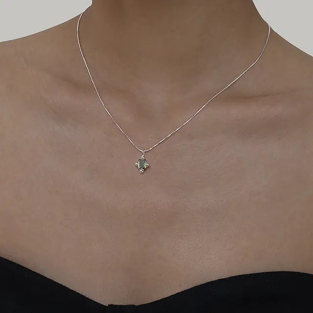 ins 925