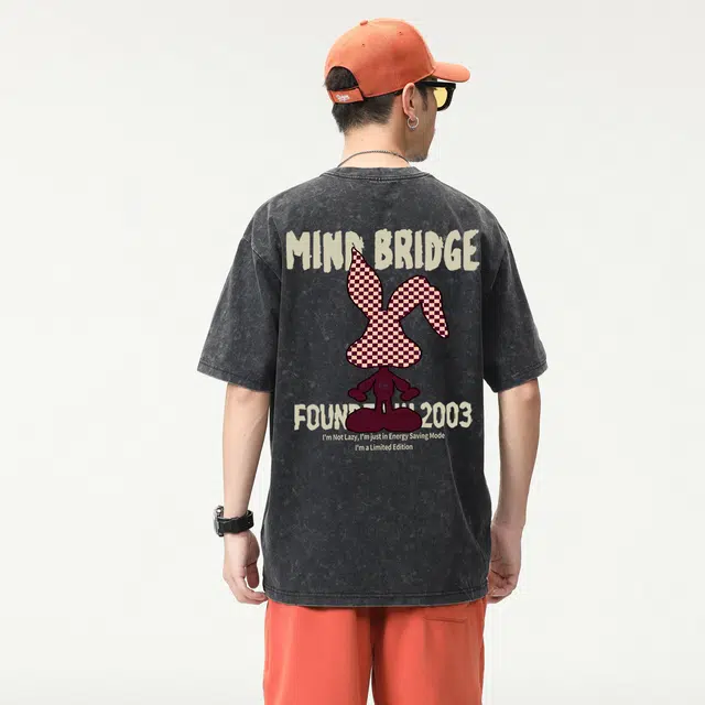 MindBridge T