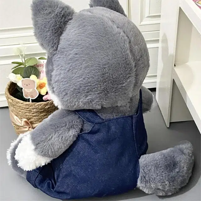 Brangdy 35cm50cm