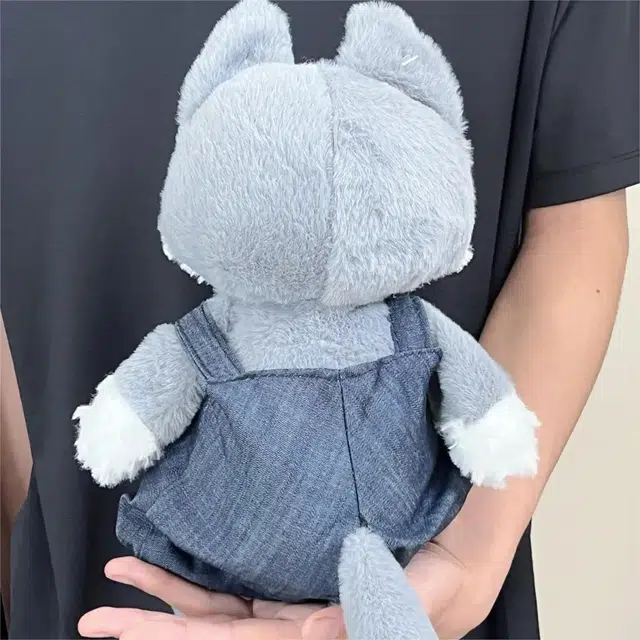 Brangdy 35cm50cm