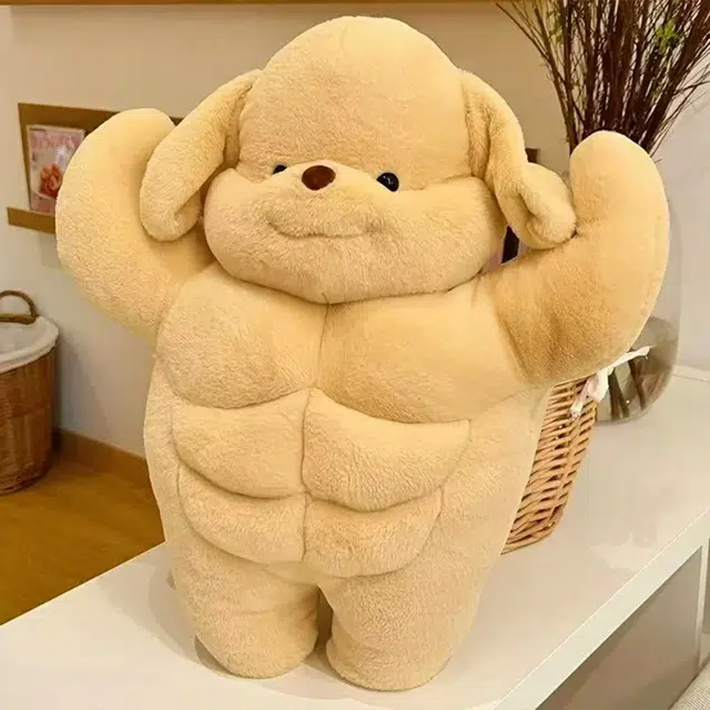 Brangdy 35cm50cm