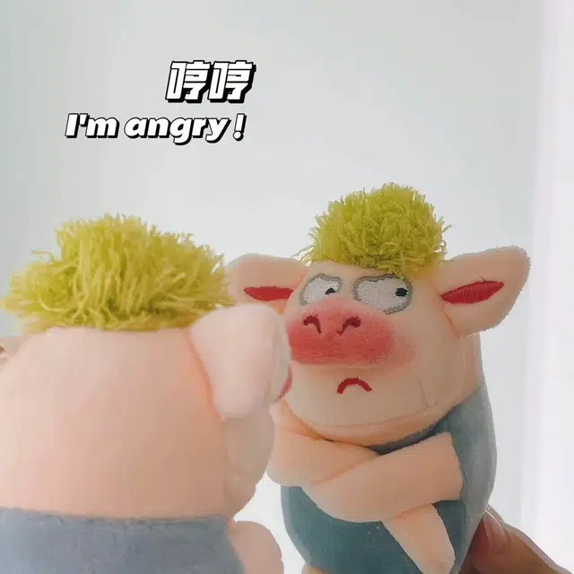 Brangdy 12cm