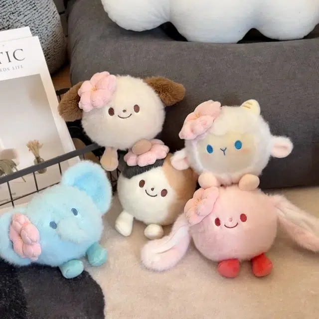 Brangdy 10cm