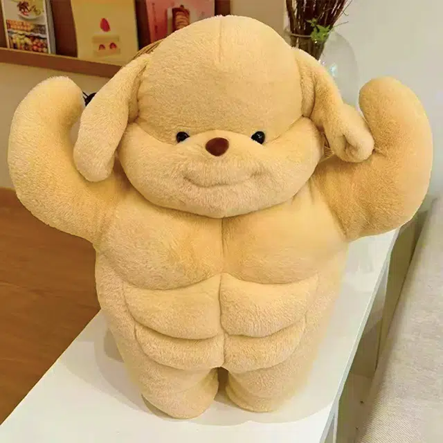 Brangdy 35cm50cm