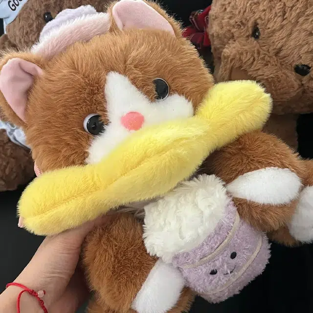 Brangdy 33cm