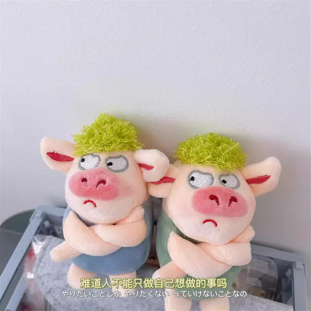 Brangdy 12cm
