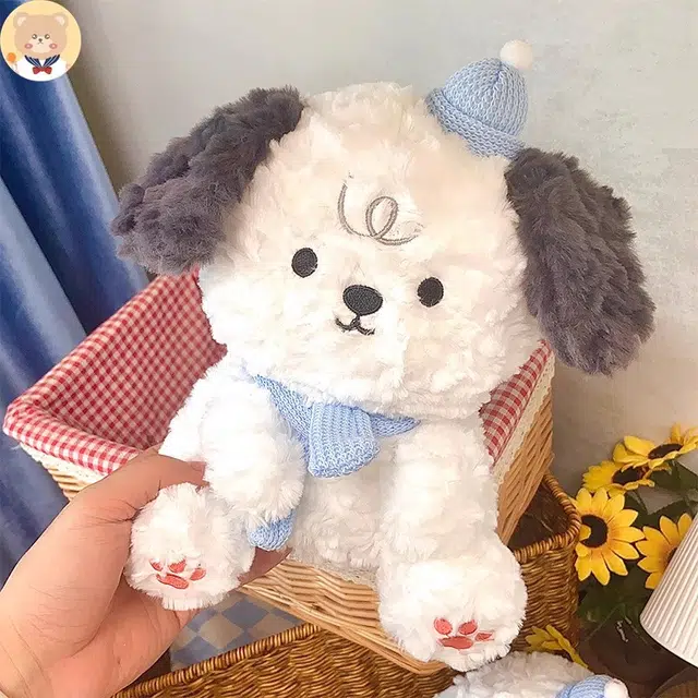 TL 23cm35cm45cm