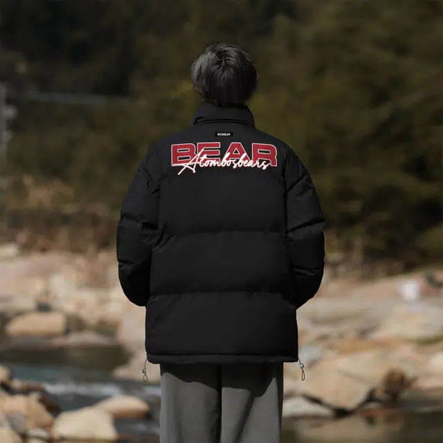 BOS BEAR LOGO