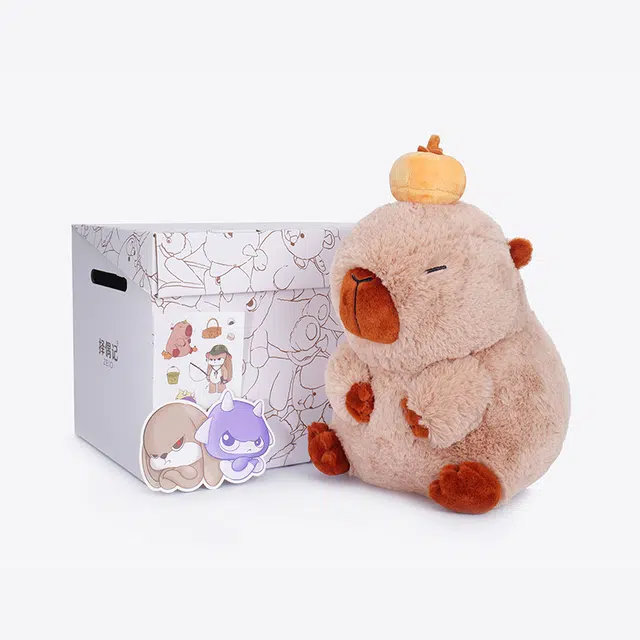 ZEIO 25cm